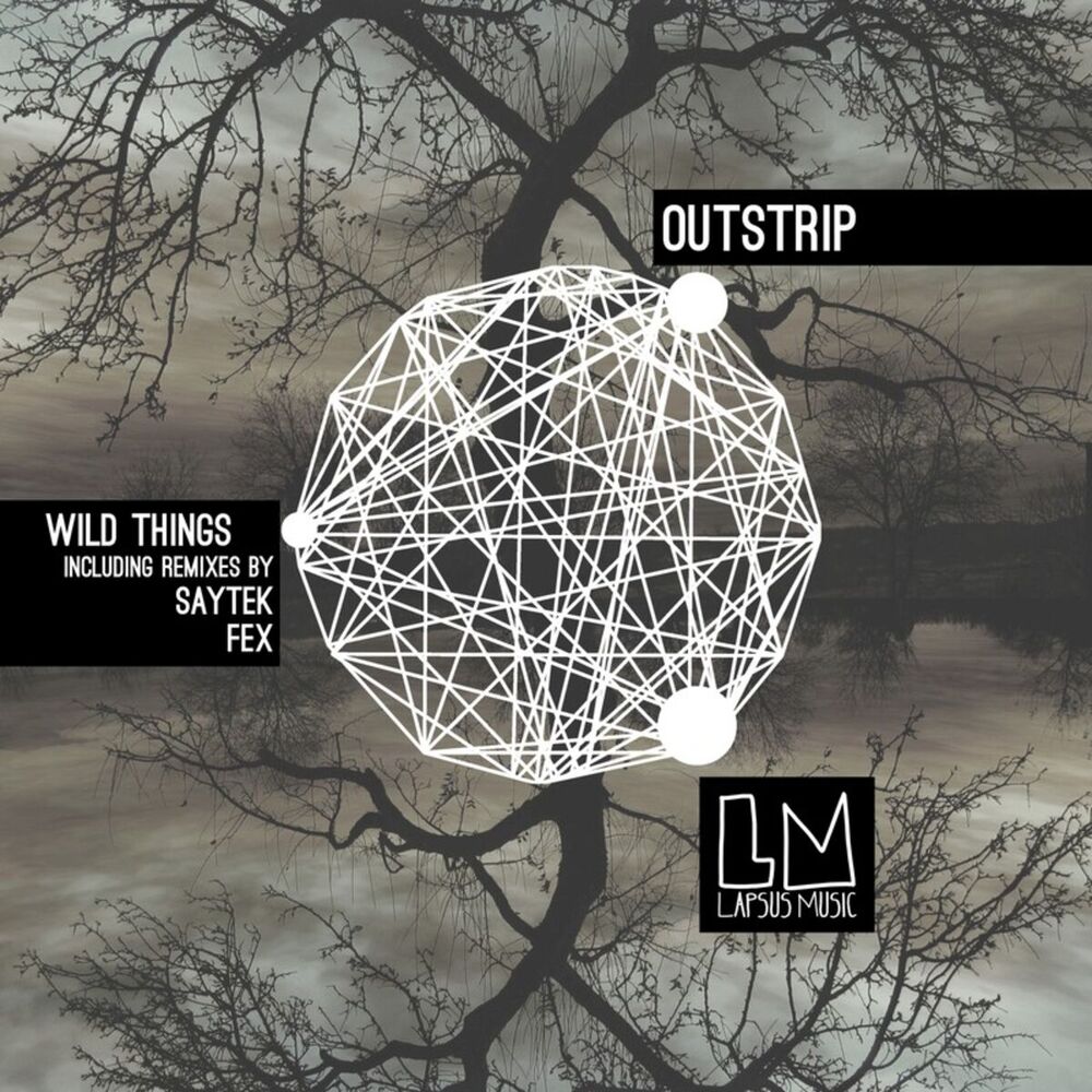 Picture of Wild Things