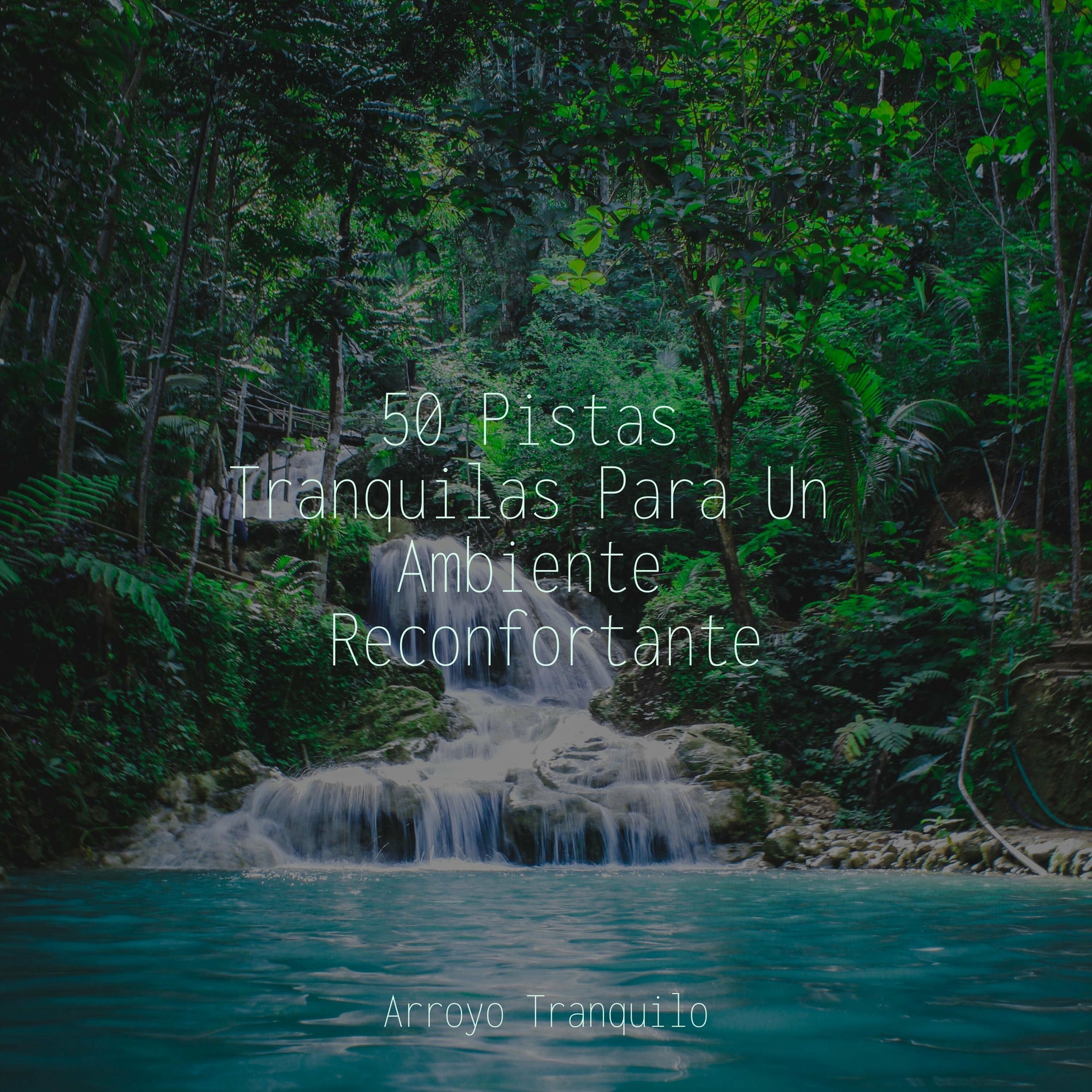 Album cover of 50 Pistas Tranquilas Para Un Ambiente Reconfortante