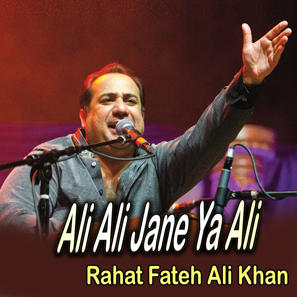 Album cover of Ali Ali Jane Ya Ali