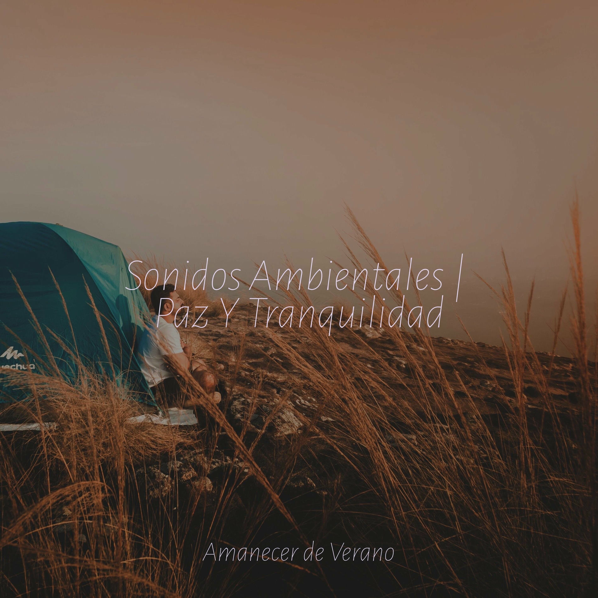 Album cover of Sonidos Ambientales | Paz Y Tranquilidad