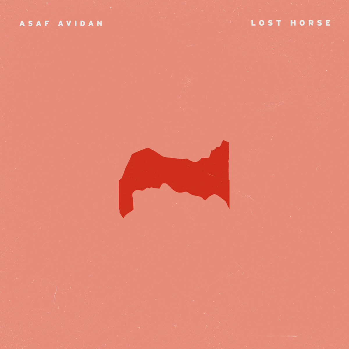 Album cover of Lost Horse