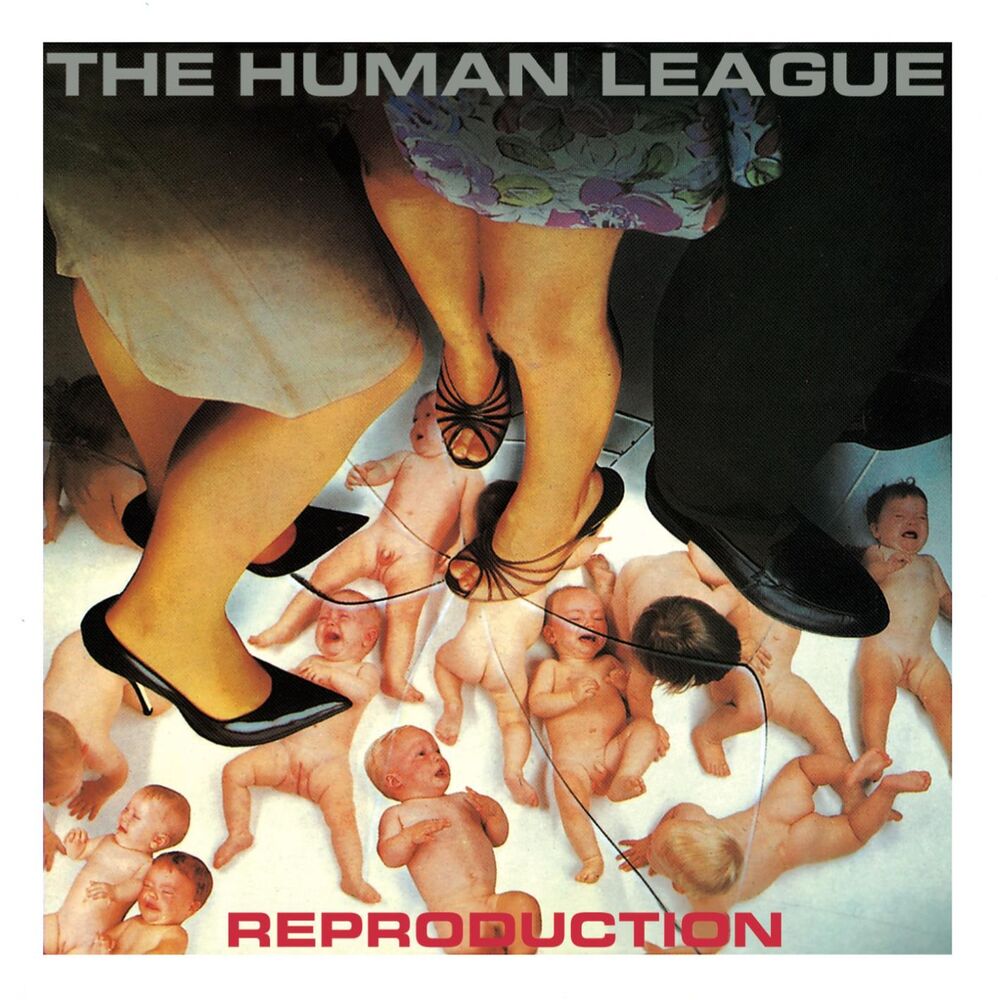 Picture of Reproduction