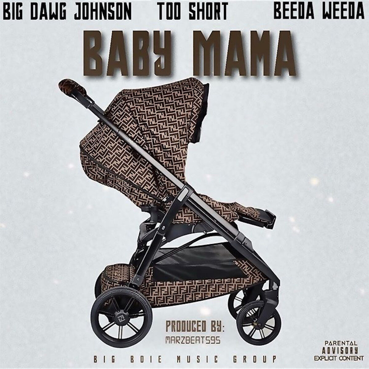 Album cover of Baby Mama
