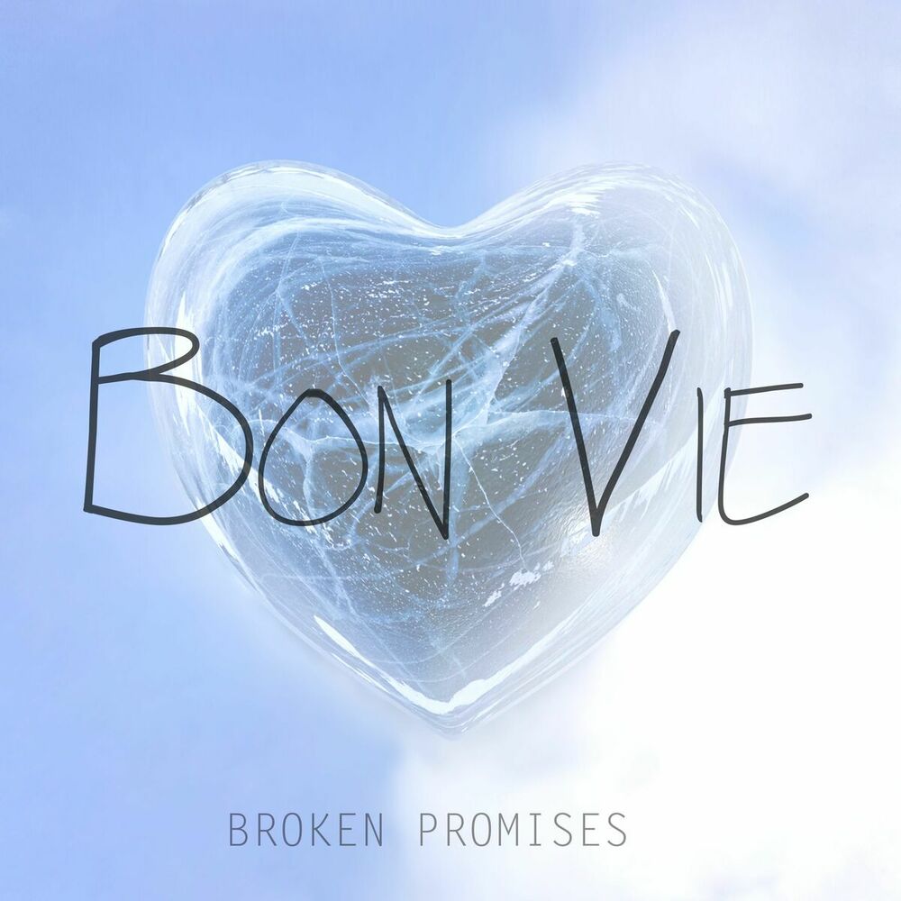 Picture of Broken Promises