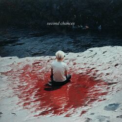 Cover of Second Chances