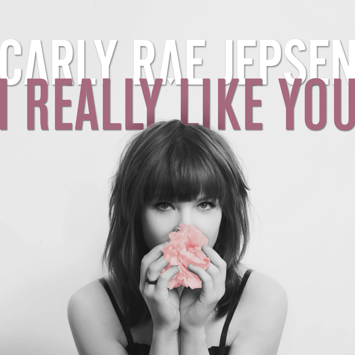 Album cover of I Really Like You
