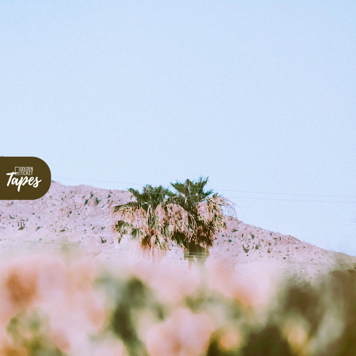 Album cover of Desert Flower