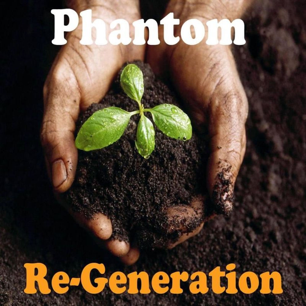 Album artwork for Work Your Brains by PHANTOM