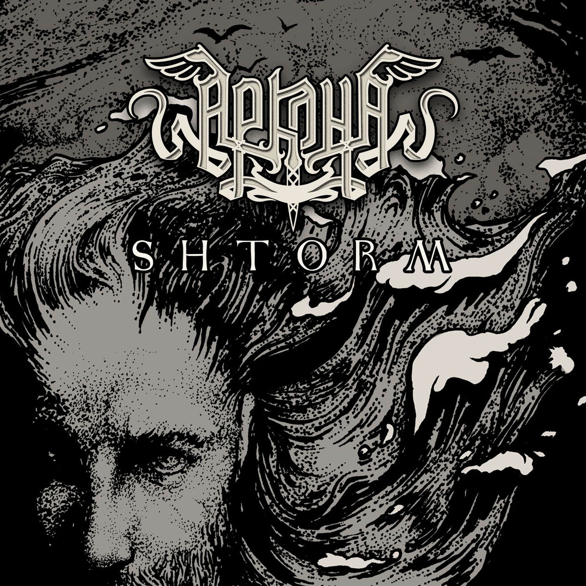 Album cover of Shtorm