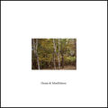 Dream and Mindfulness - Single