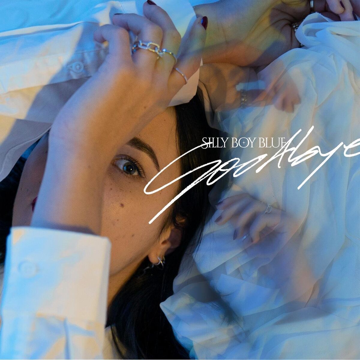 Album cover of Goodbye