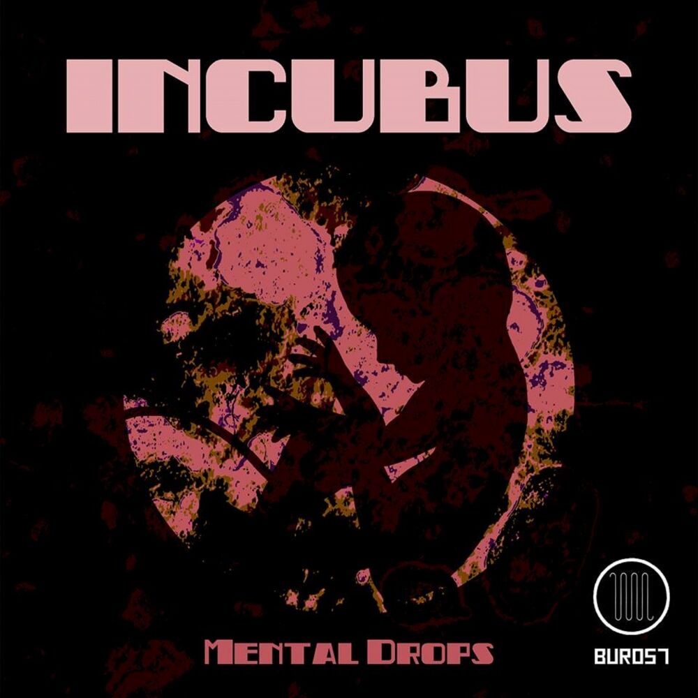 Picture of Incubus
