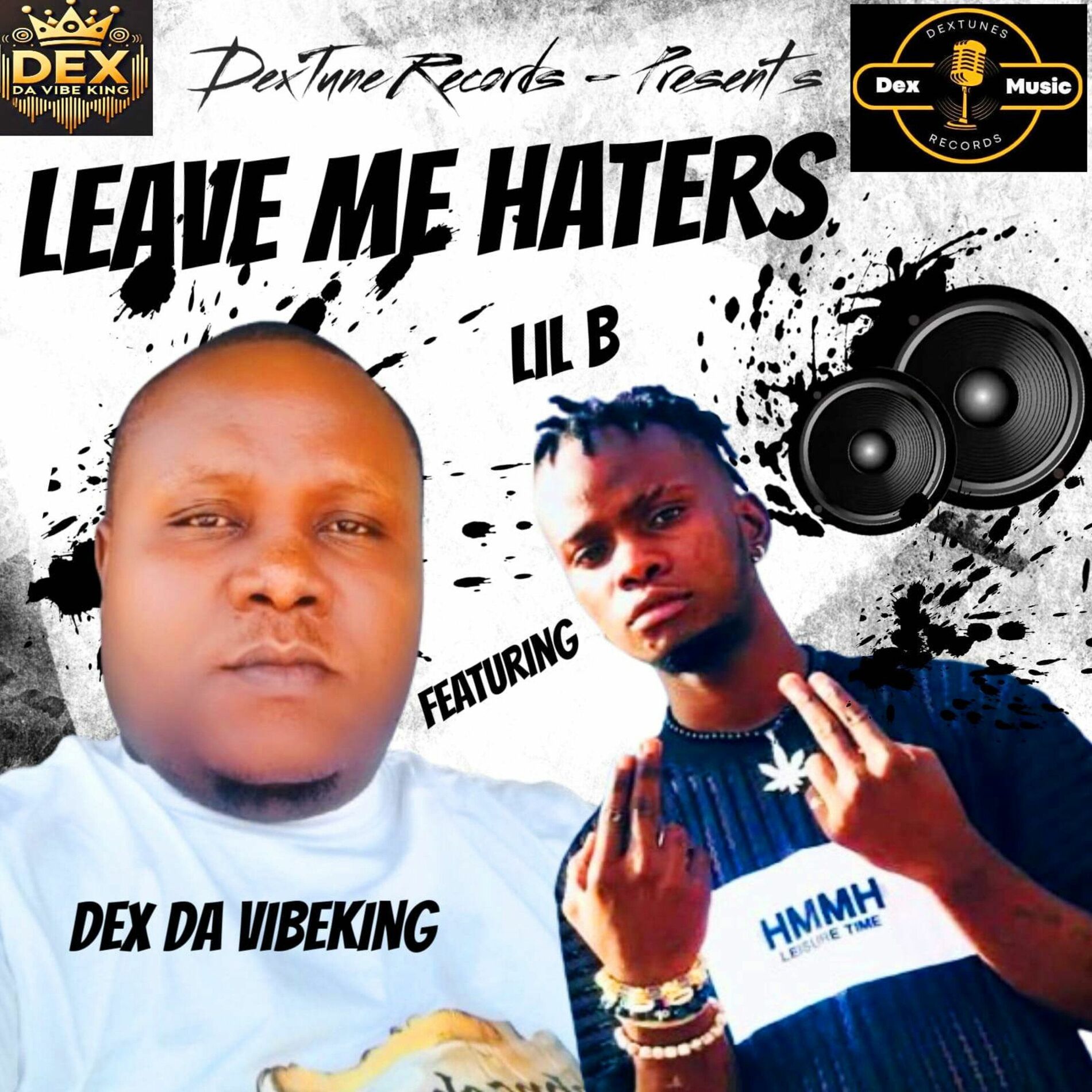 Album cover of Leave Me Haters