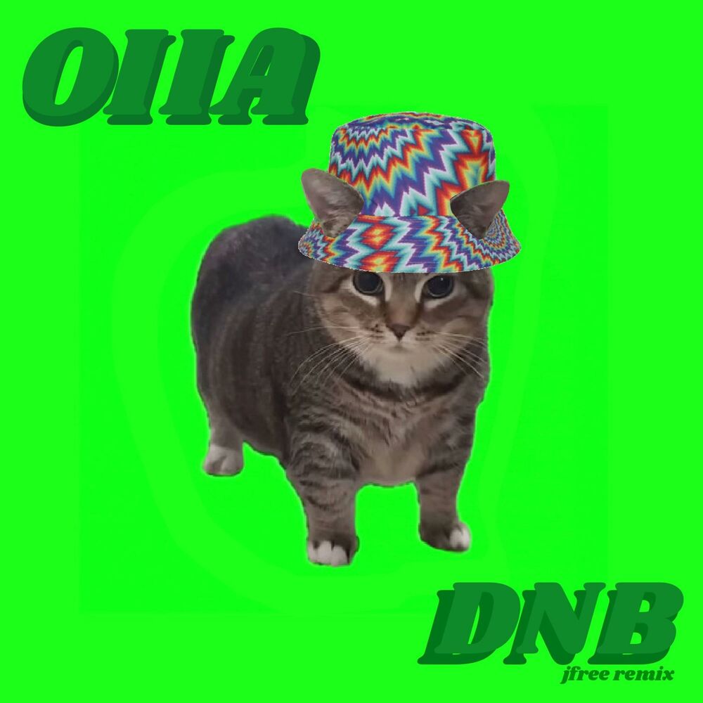 Picture of OIIA CAT dnb ver.