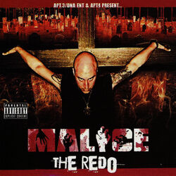 Cover of The Redo