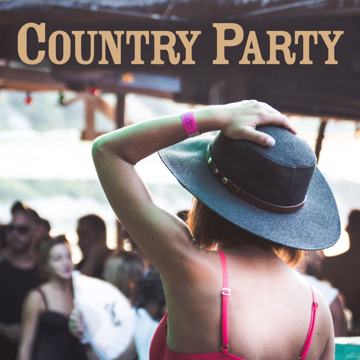 Album cover of Country Party