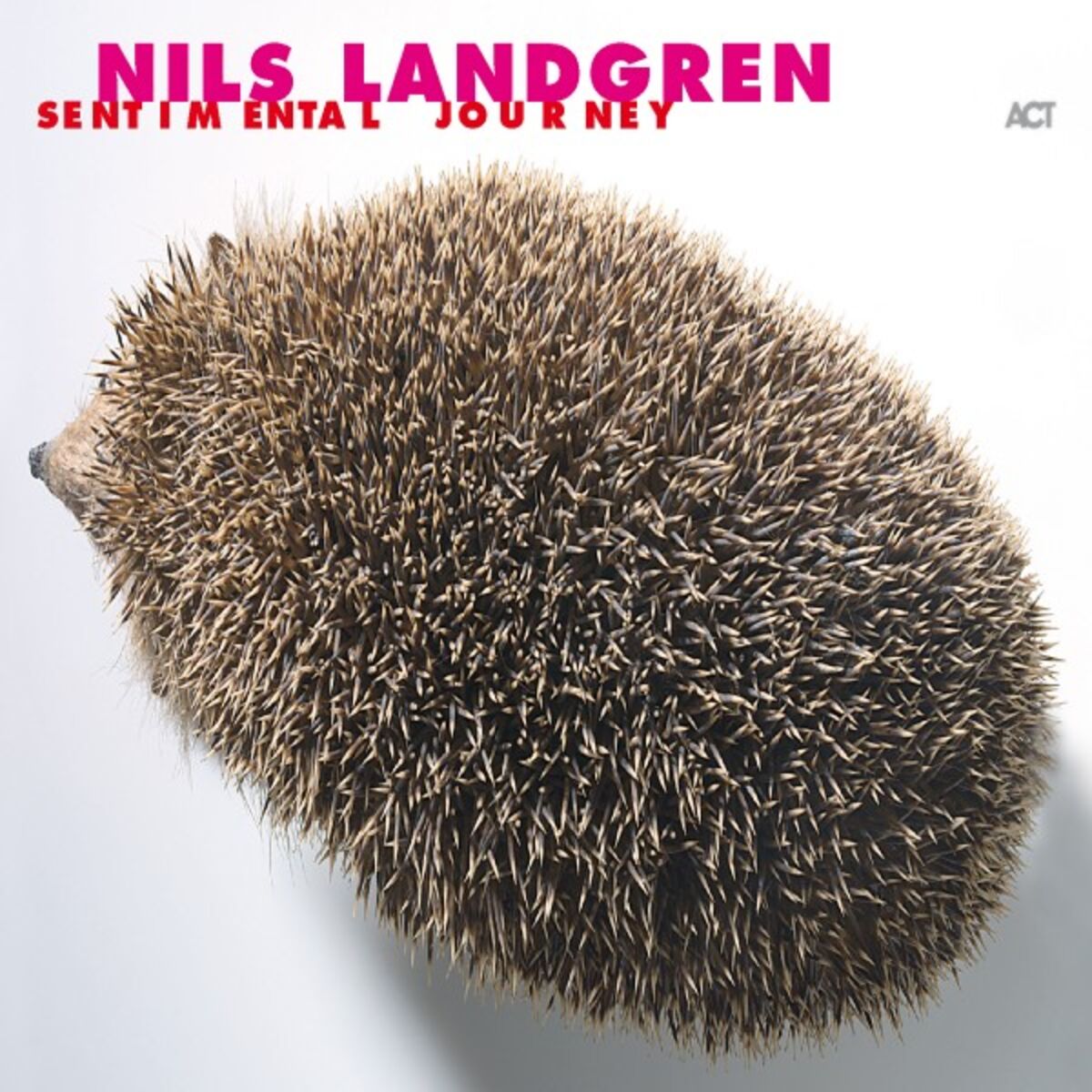 Album cover of I Will Survive
