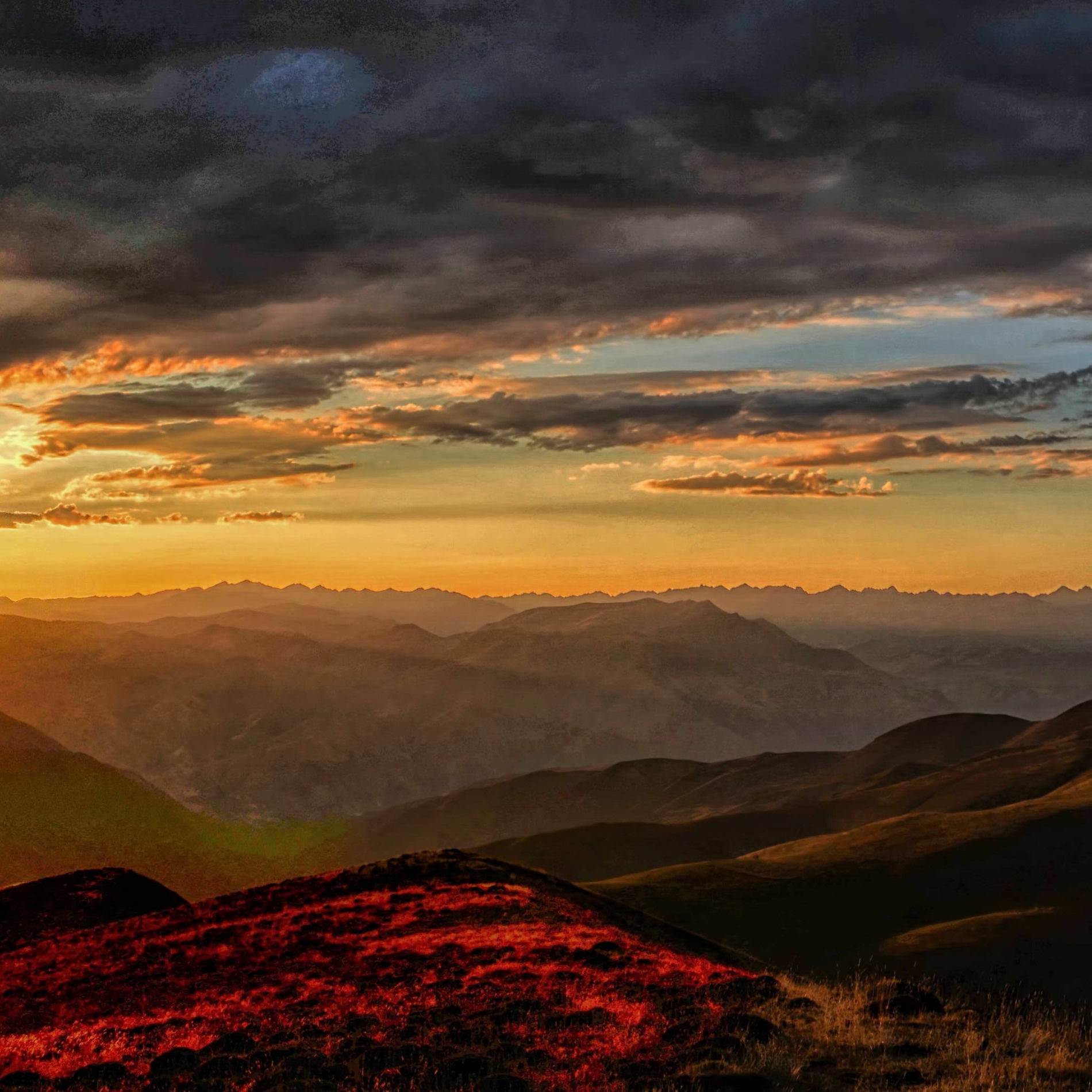 Album cover of Nothing to Say