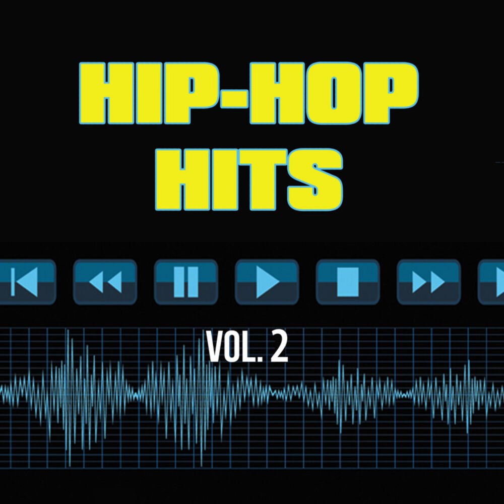 Picture of Hip Hop Hits, Vol. 2