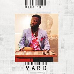 Cover of YARD