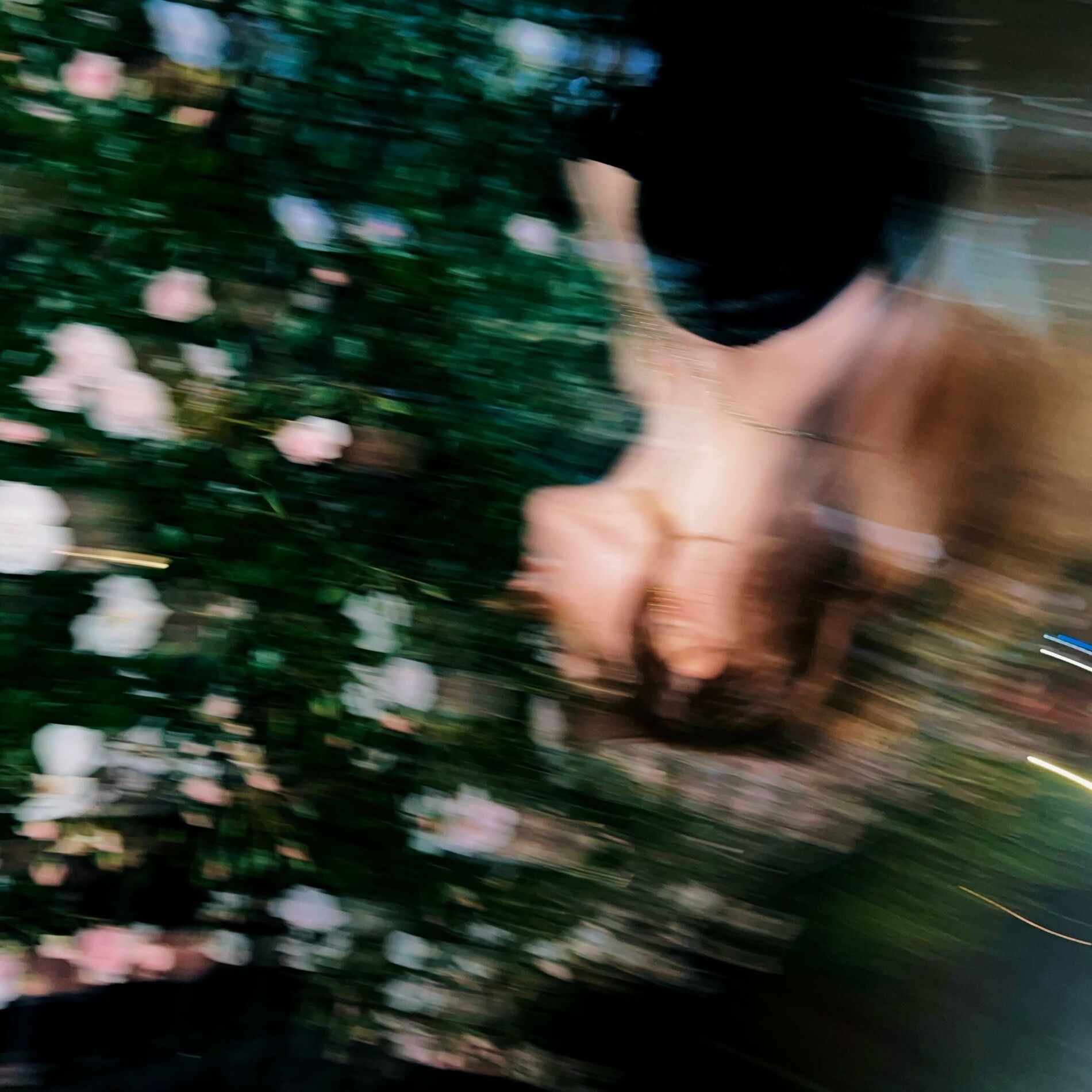 Album cover of stone tossing