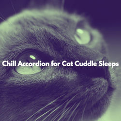 Cover of Chill Accordion for Cat Cuddle Sleeps by undefined