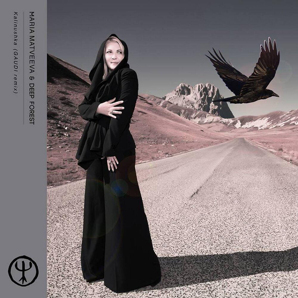 Picture of Kalinushka ( Gaudi Remix)