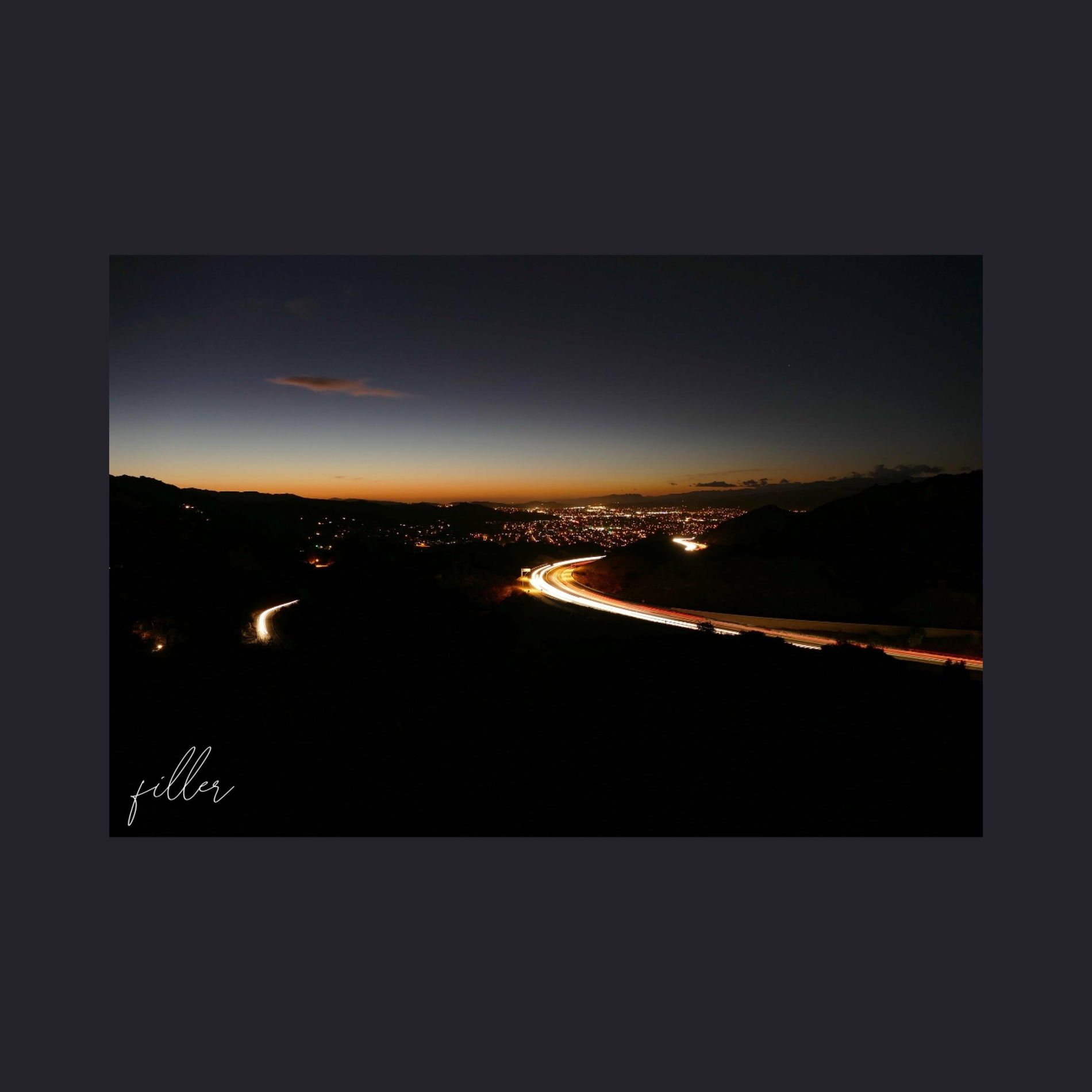 Album cover of Filler