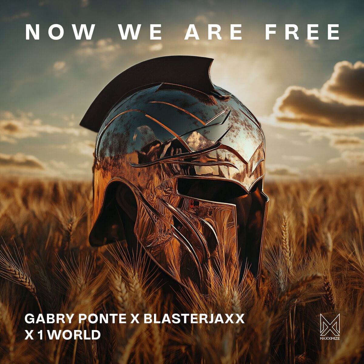 Album cover of Now We Are Free