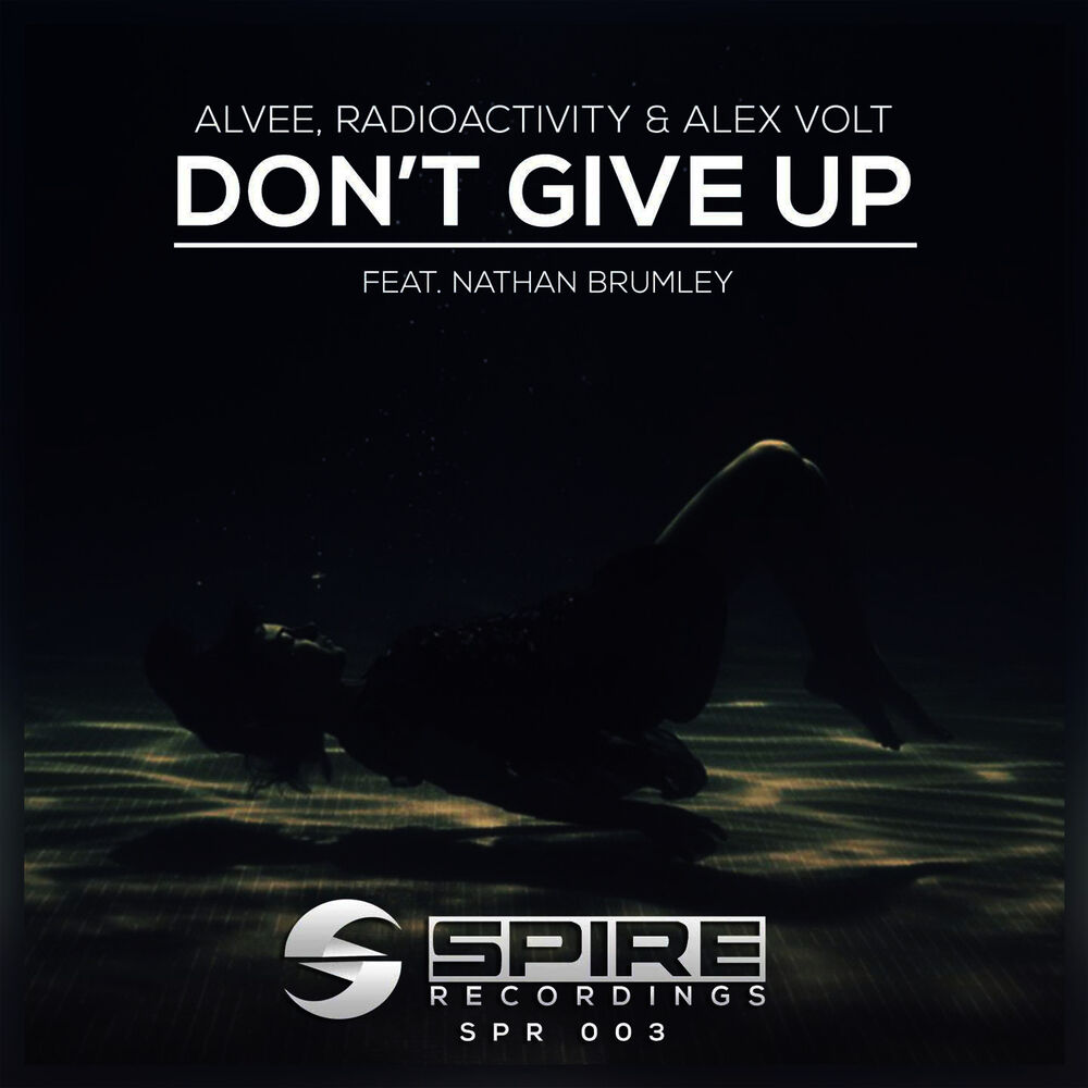 Picture of Don't Give Up