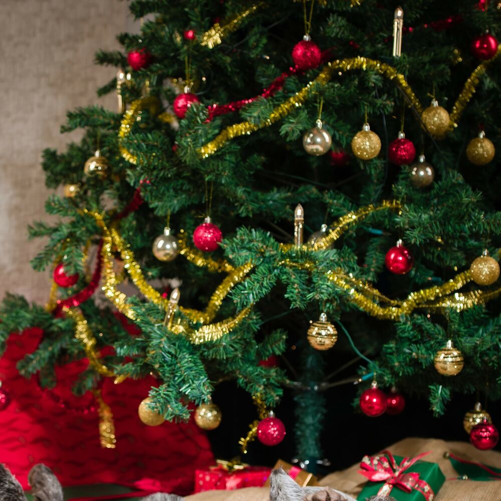 Picture of Bouygues Telecom Christmas Commercial Advert