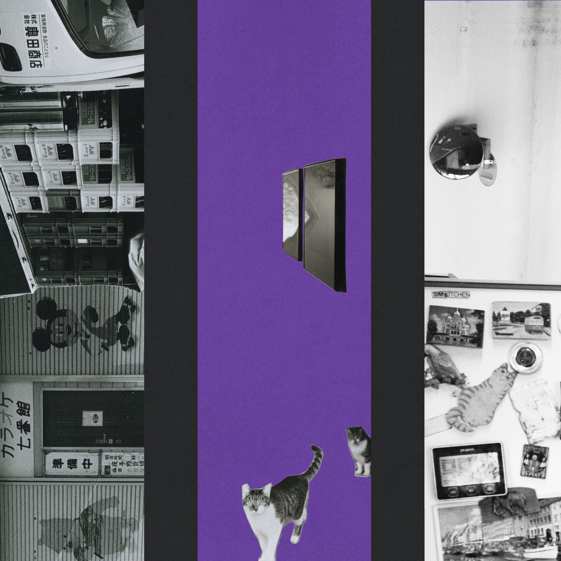 Album cover of Mystery of Fate