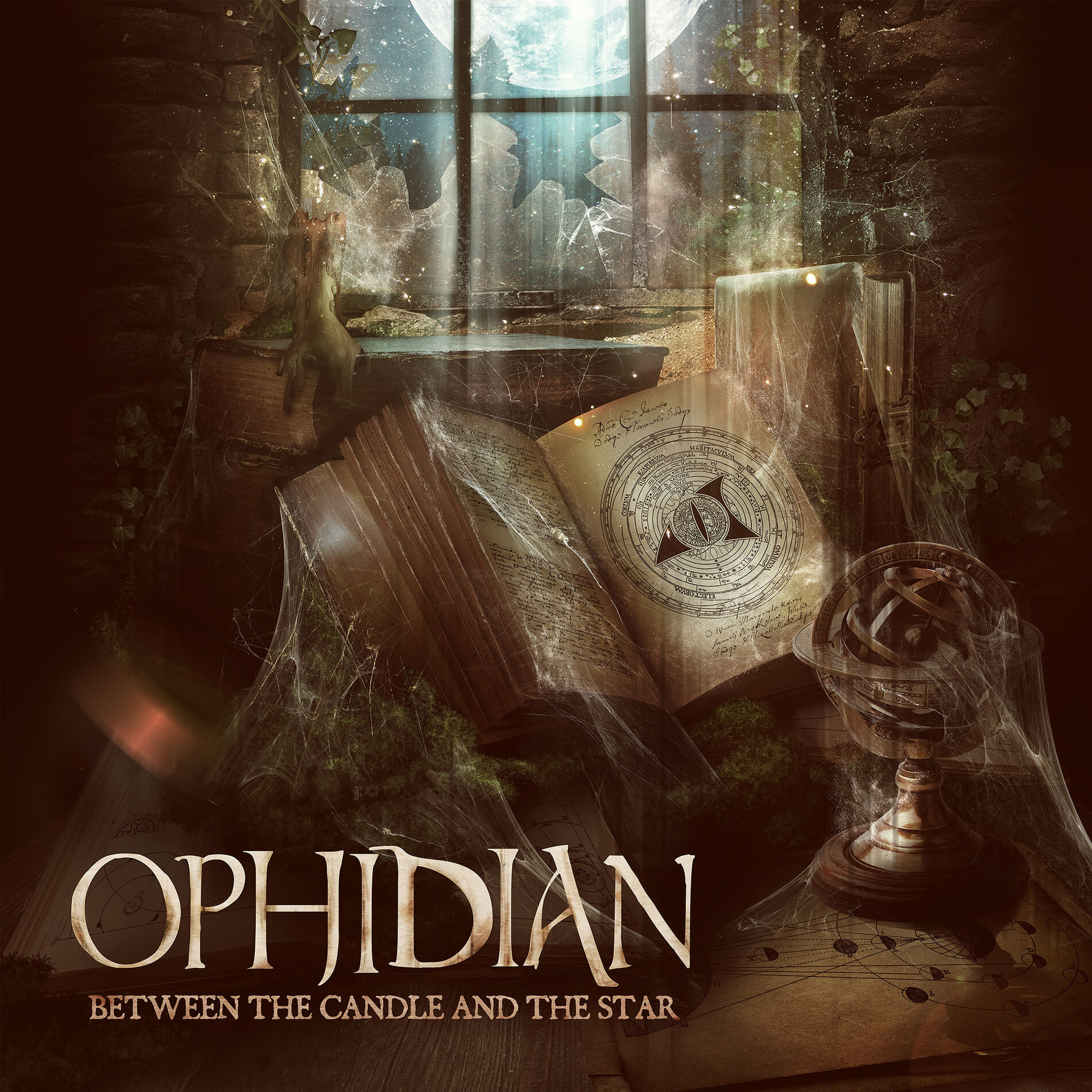 Album cover of Life of Meaning
