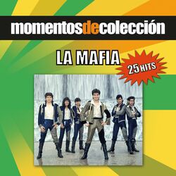 Cover of Momentos De Coleccion