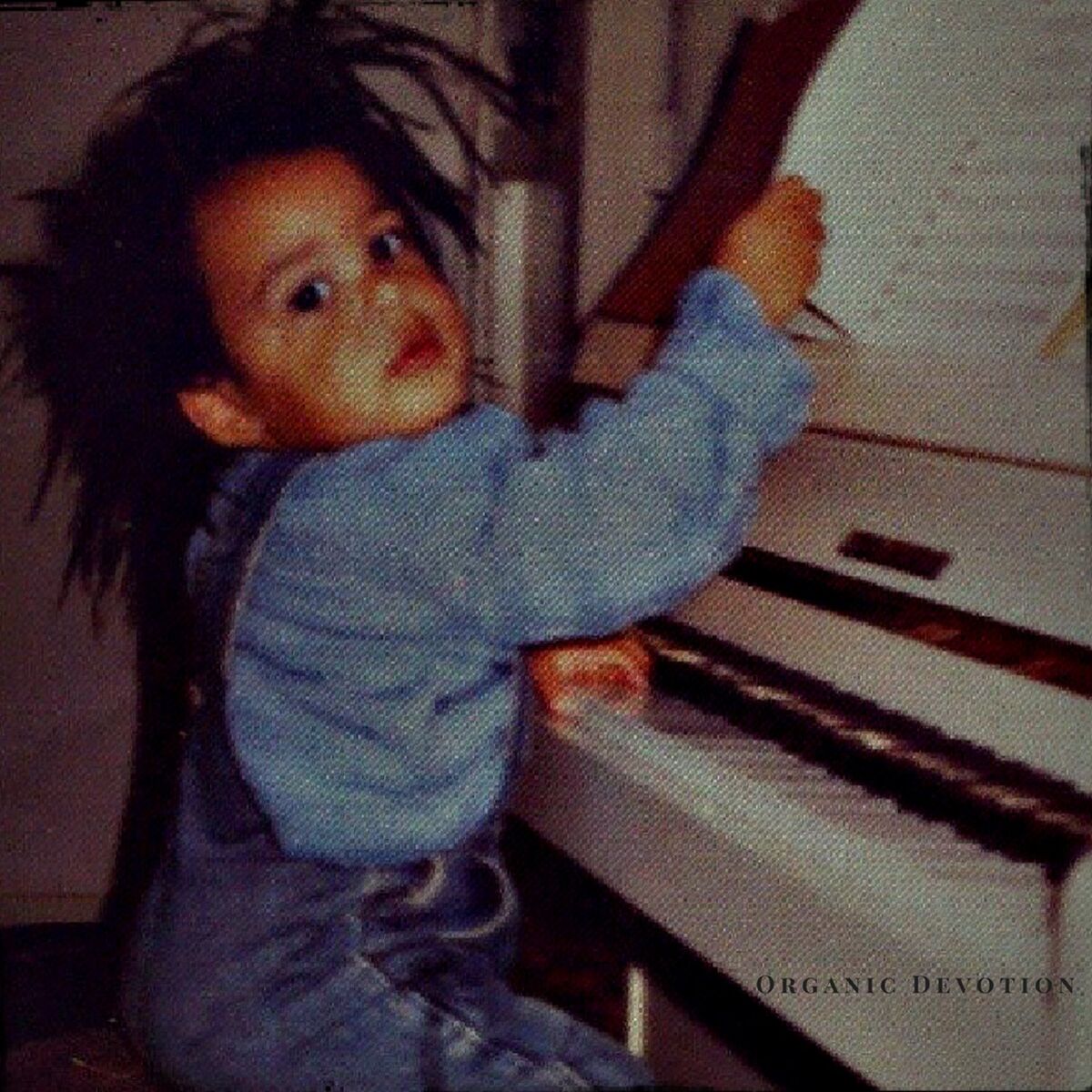 Album cover of Organic Devotion
