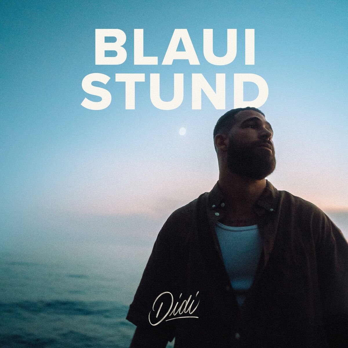 Album cover of Blaui Stund