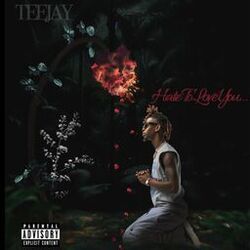 Cover of Hate To Love You