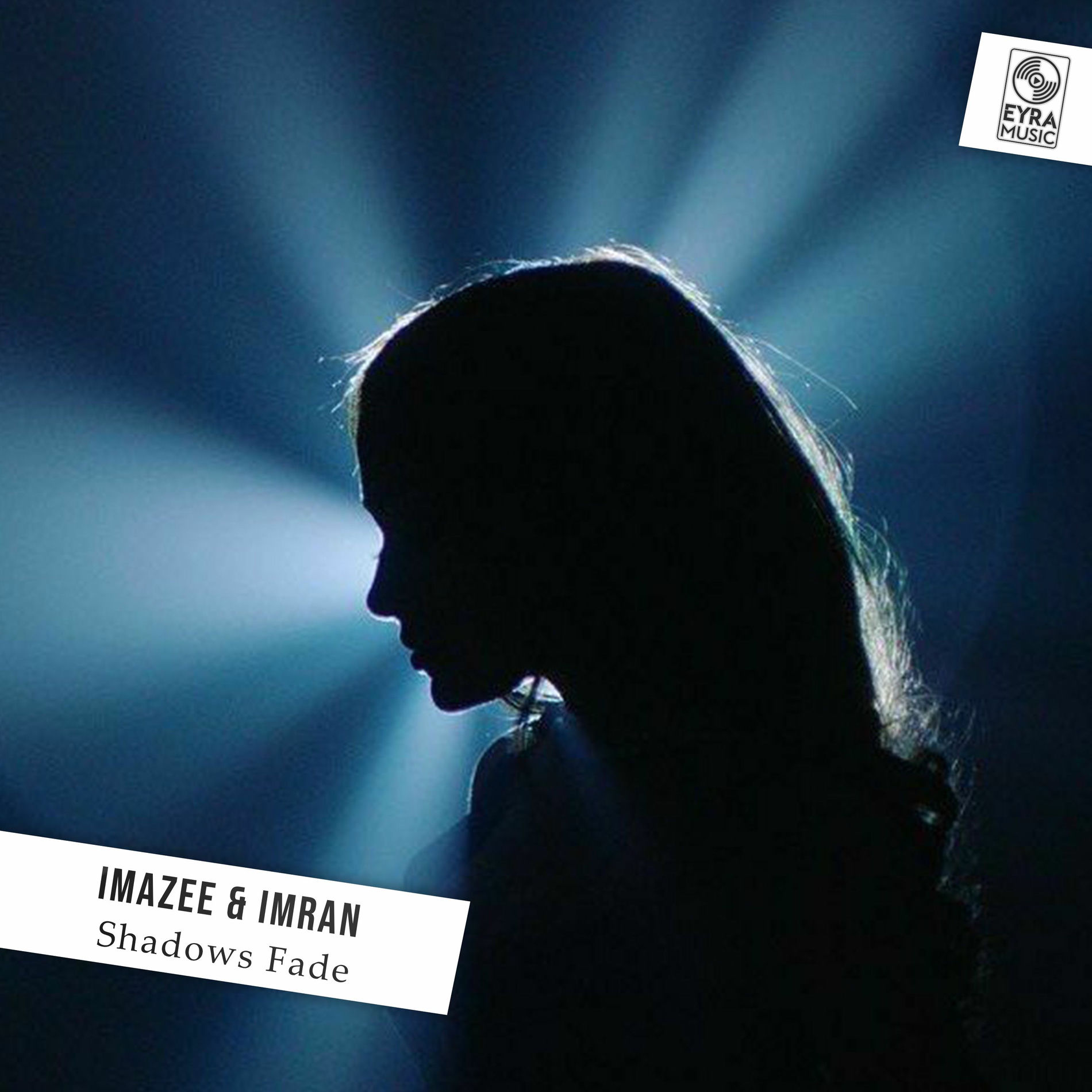 Album cover of Shadows Fade