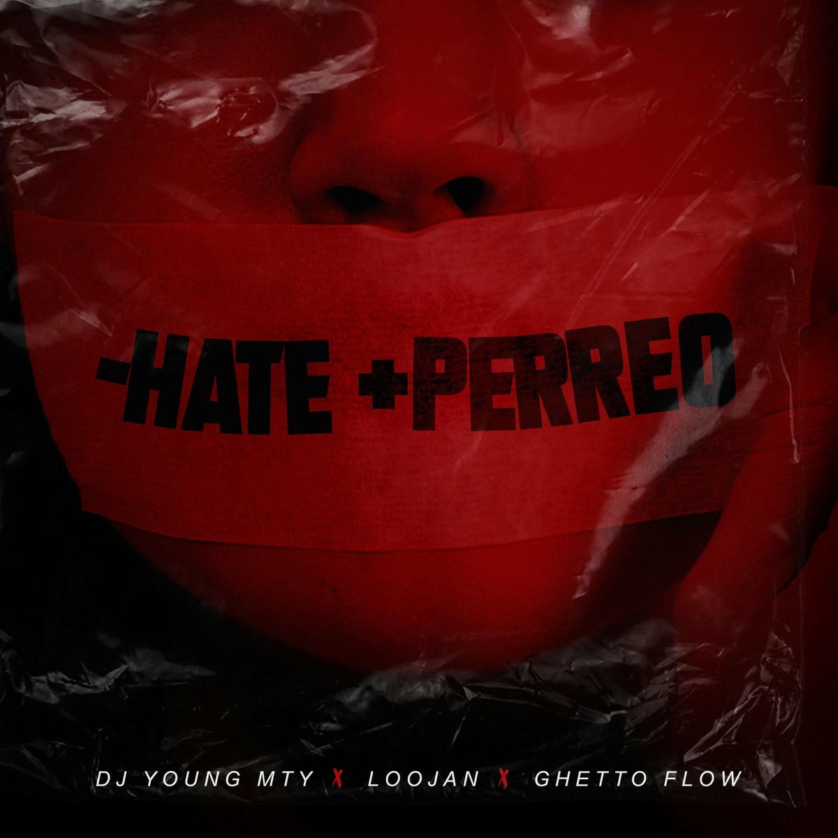 Album cover of -Hate +Perreo