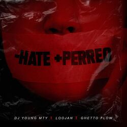 Cover of -Hate +Perreo