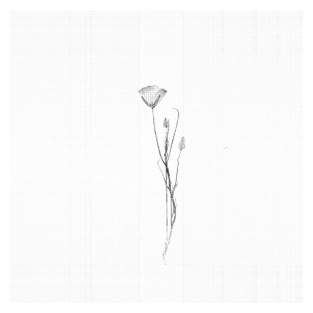 Album cover of Consolation No. 1 in E-Flat Major
