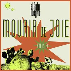 Cover of Mourir de Joie
