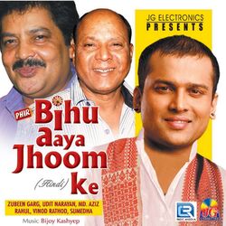 Cover of Phir Bihu Aaya Jhoom Ke