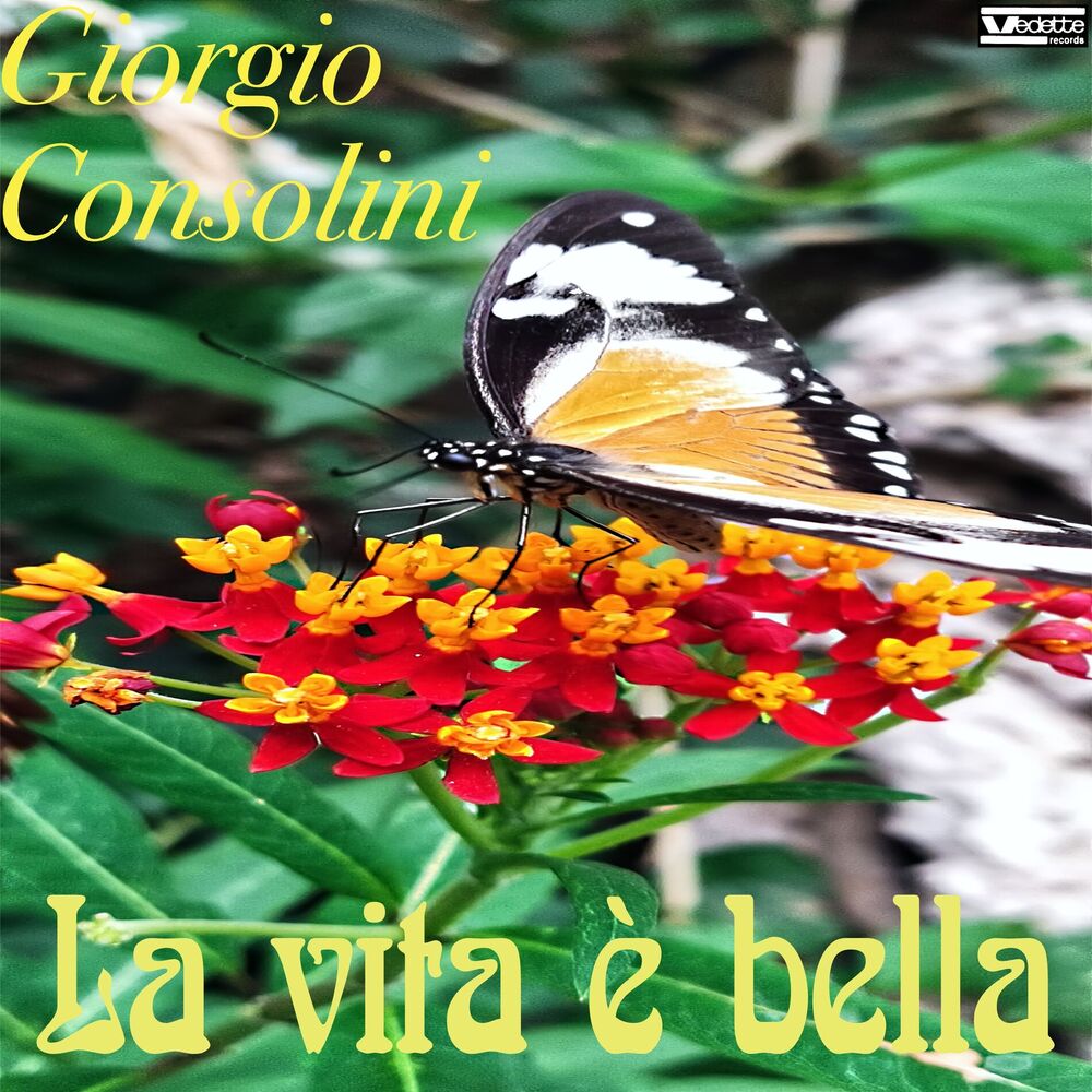 Picture of La vita è bella
