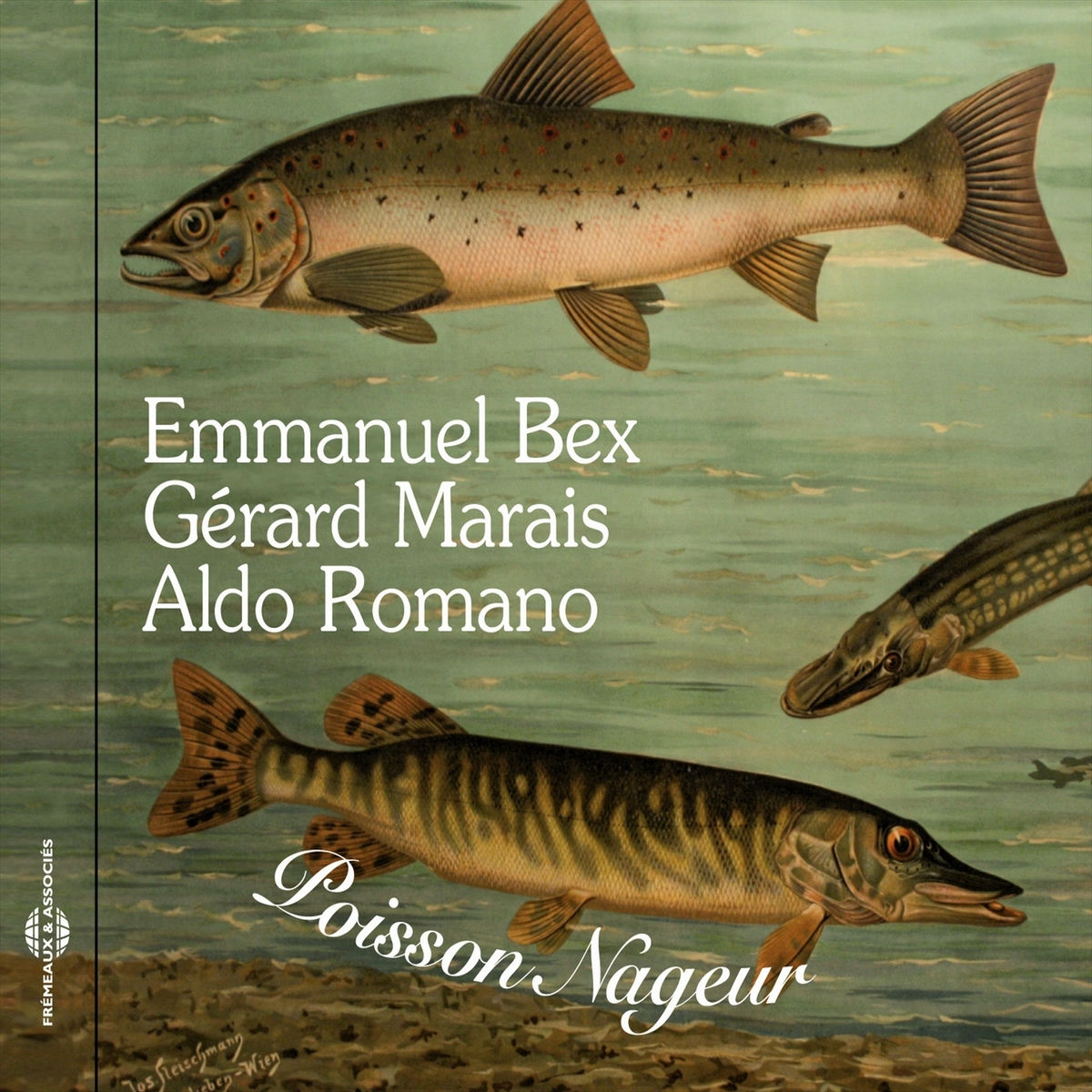 Album cover of Poisson Nageur