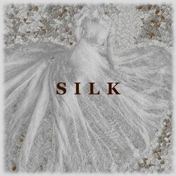 Cover of Silk