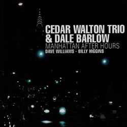 Cover of Manhattan After Hours
