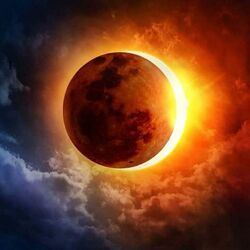 Cover of I Am The Moon