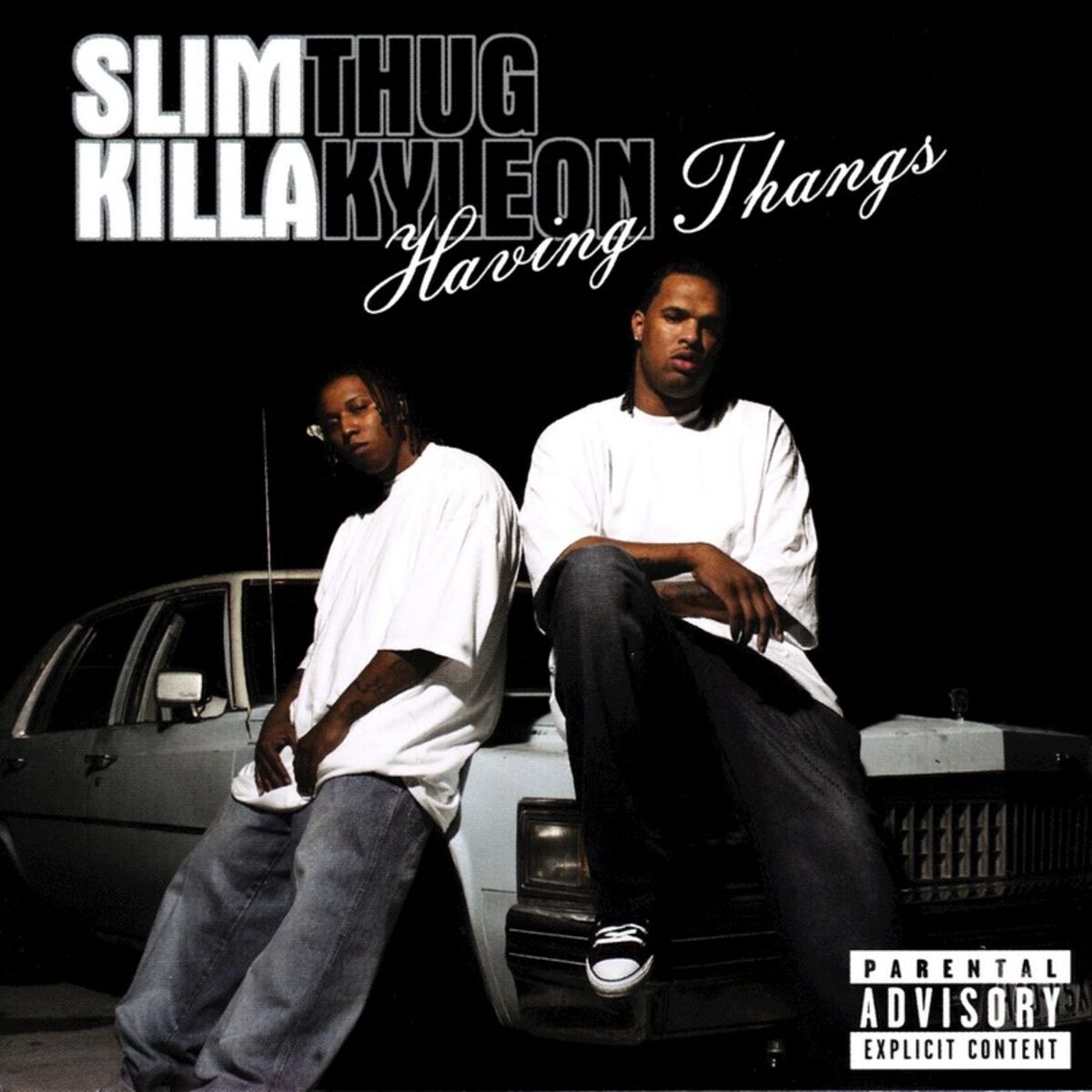 Album cover of Through the Wire Flow