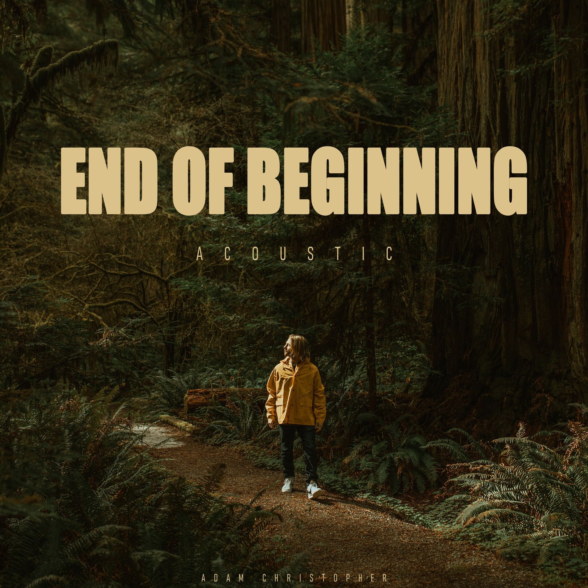 Album cover of End of Beginning (Acoustic)